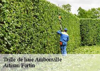 Taille de haie  ambonville-52110 Artisan Fortin