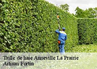 Taille de haie  anneville-la-prairie-52310 Artisan Fortin