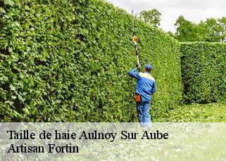 Taille de haie  aulnoy-sur-aube-52160 Artisan Fortin