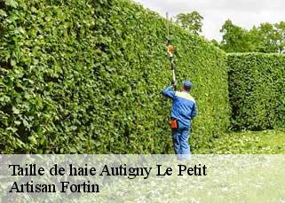 Taille de haie  autigny-le-petit-52300 Artisan Fortin