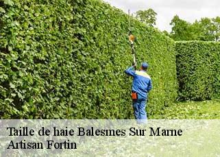 Taille de haie  balesmes-sur-marne-52200 Artisan Fortin