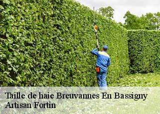 Taille de haie  breuvannes-en-bassigny-52240 Artisan Fortin