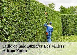 Taille de haie  buxieres-les-villiers-52000 Artisan Fortin