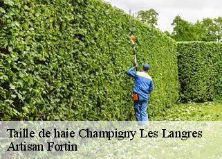 Taille de haie  champigny-les-langres-52200 Artisan Fortin