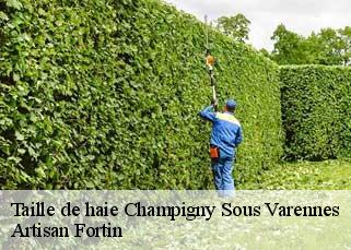 Taille de haie  champigny-sous-varennes-52400 Artisan Fortin