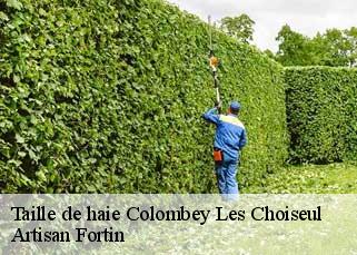 Taille de haie  colombey-les-choiseul-52240 Artisan Fortin