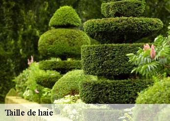 Taille de haie