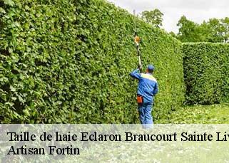 Taille de haie  eclaron-braucourt-sainte-liv-52290 Artisan Fortin