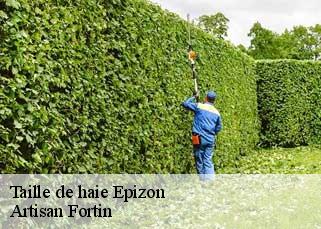 Taille de haie  epizon-52230 Artisan Fortin