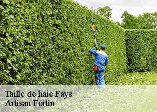 Taille de haie  fays-52130 Artisan Fortin