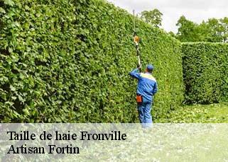 Taille de haie  fronville-52300 Artisan Fortin