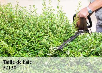 Taille de haie 52130