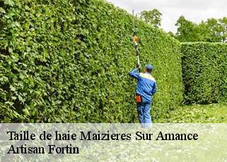 Taille de haie maizieres-sur-amance-52500 Artisan Fortin