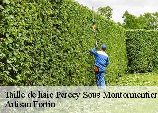 Taille de haie  percey-sous-montormentier-52190 Artisan Fortin
