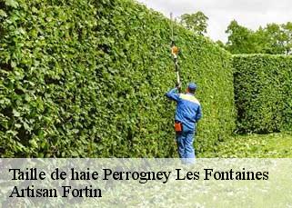 Taille de haie  perrogney-les-fontaines-52160 Artisan Fortin