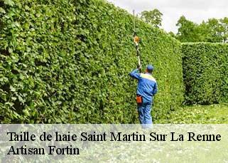 Taille de haie  saint-martin-sur-la-renne-52330 Artisan Fortin