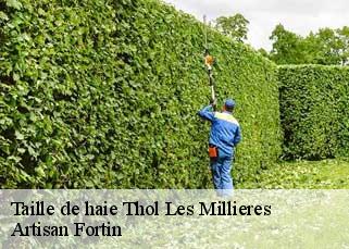 Taille de haie thol-les-millieres-52240 Artisan Fortin
