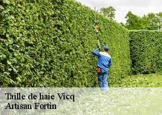 Taille de haie  vicq-52400 Artisan Fortin