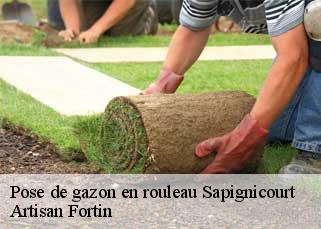 Pose de gazon en rouleau  sapignicourt-52100 Artisan Fortin