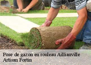 Pose de gazon en rouleau  aillianville-52700 Artisan Fortin