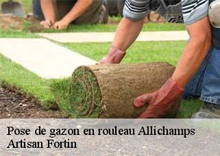 Pose de gazon en rouleau  allichamps-52130 Artisan Fortin