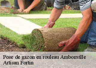 Pose de gazon en rouleau  ambonville-52110 Artisan Fortin