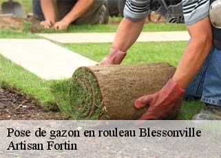 Pose de gazon en rouleau  blessonville-52120 Artisan Fortin