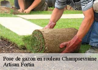 Pose de gazon en rouleau  champsevraine-52500 Artisan Fortin