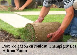 Pose de gazon en rouleau  champigny-les-langres-52200 Artisan Fortin