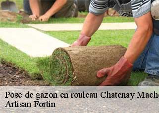 Pose de gazon en rouleau  chatenay-macheron-52200 Artisan Fortin