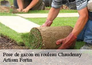 Pose de gazon en rouleau chaudenay-52600 Artisan Fortin