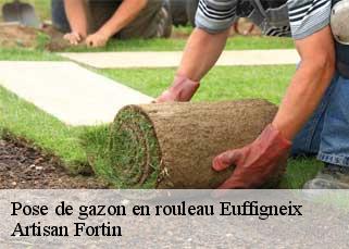 Pose de gazon en rouleau  euffigneix-52000 Artisan Fortin