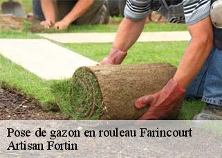 Pose de gazon en rouleau  farincourt-52500 Artisan Fortin
