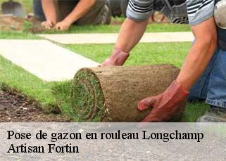 Pose de gazon en rouleau  longchamp-52240 Artisan Fortin