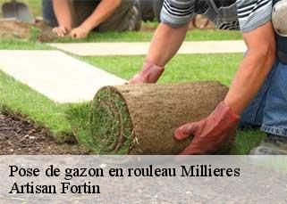 Pose de gazon en rouleau millieres-52240 Artisan Fortin