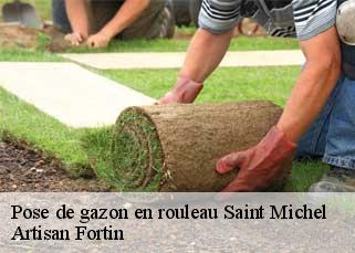 Pose de gazon en rouleau  saint-michel-52190 Artisan Fortin