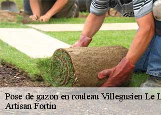 Pose de gazon en rouleau  villegusien-le-lac-52190 Artisan Fortin