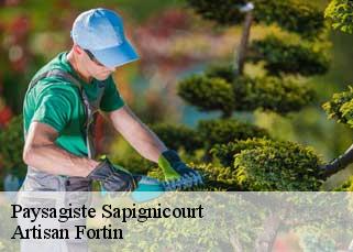 Paysagiste  sapignicourt-52100 Artisan Fortin
