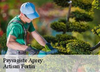 Paysagiste  aprey-52250 Artisan Fortin