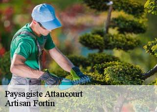 Paysagiste  attancourt-52130 Artisan Fortin