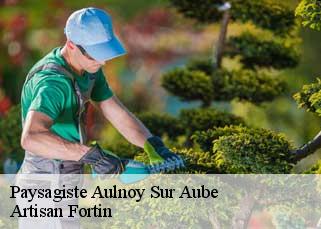 Paysagiste  aulnoy-sur-aube-52160 Artisan Fortin