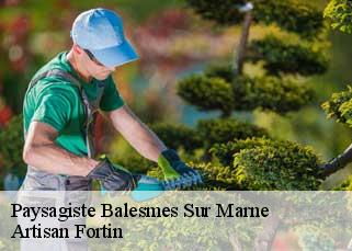 Paysagiste  balesmes-sur-marne-52200 Artisan Fortin