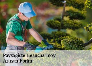 Paysagiste  beaucharmoy-52400 Artisan Fortin