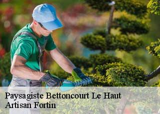 Paysagiste  bettoncourt-le-haut-52230 Artisan Fortin