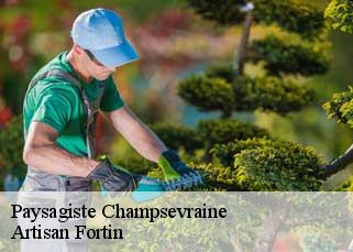 Paysagiste  champsevraine-52500 Artisan Fortin