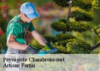 Paysagiste  chambroncourt-52700 Artisan Fortin