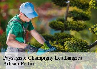 Paysagiste  champigny-les-langres-52200 Artisan Fortin