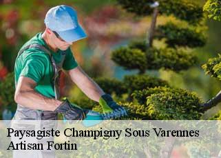 Paysagiste  champigny-sous-varennes-52400 Artisan Fortin