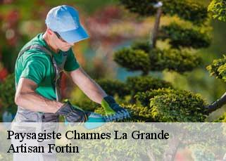 Paysagiste  charmes-la-grande-52110 Artisan Fortin