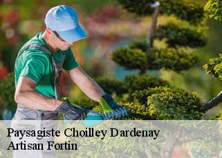 Paysagiste  choilley-dardenay-52190 Artisan Fortin